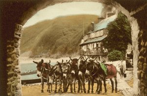 Clovelly, el establo de carreras de English Photographer